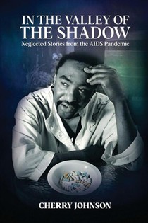 IN THE VALLEY OF THE SHADOW Neglected Stories from the AIDS Pandemic