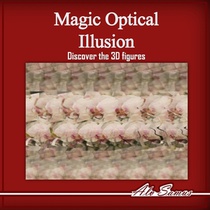 Magic Optical Illusion, Discover the 3D figures, Vol. 2: Use your Magic Eyes and see beautiful 3D figures, improve your vision.