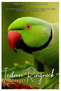 Indian Ringneck Parakeet: A comprehensive Guide to your vibrant and intelligent companion