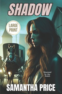 Shadow: LARGE PRINT: Clean Suspense and Mystery