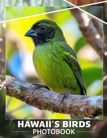 Hawaii's Birds Photo Book: Explore 40 Stunning Images Of Hawaii's Unique Avian Life For Nature Lovers