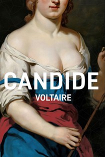 Candide: A New Translation