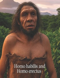 Homo habilis and Homo erectus: The History and Legacy of Modern Humans' Direct Ancestors