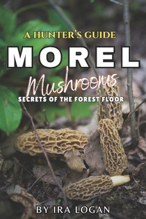 A Hunter's Guide to Finding Morels: Secrets from the forest floor