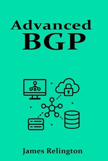 Advanced BGP: Route Engineering and Traffic Policies