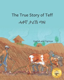 The True Story of Teff: Ethiopia's Favorite Grain in Tigrinya and English