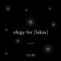 elegy for [lukas]