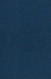 The Art of Mindfulness