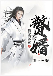赘婿：第十一部