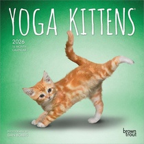 Yoga Kittens Official 2026 7 X 14 Inch (Hanging) Monthly Mini Wall Calendar