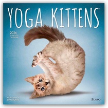 Yoga Kittens 2026 Square Plato Calendar