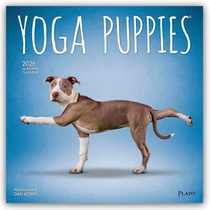 Yoga Puppies 2026 Square Plato Calendar