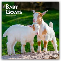 Baby Goats - Ziegenbabys 2026 - 16-Monatskalender