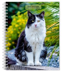 Cat Lovers 2026 6 X 7.75 Inch Spiral-Bound Wire-O Weekly Engagement Planner Calendar New Full-Color Image Every Week