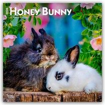 Honey Bunny - Süße Häschen 2026 - 16-Monatskalender