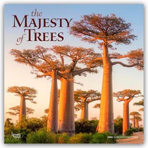 The Majesty of Trees - Die Erhabenheit der Bäume 2026 - 16-Monatskalender