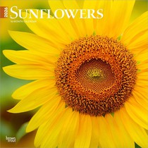 Sunflowers 2026 12 X 24 Inch (Hanging) Monthly Square Wall Calendar Plastic-Free