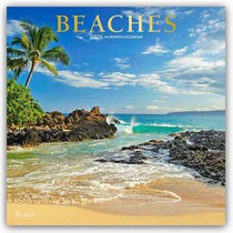 Beaches 2026 Square Plato Foil Calendar