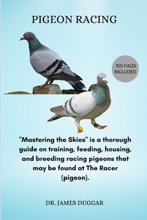 Pigeon Racing: 