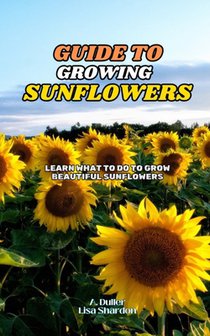 Guide to Growing Sunflowers: Learn what to do to grow beautiful Sunflowers