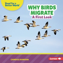 Why Birds Migrate: A First Look