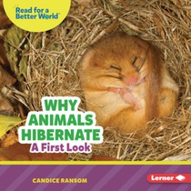 Why Animals Hibernate: A First Look