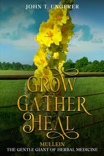 Grow, Gather, Heal: Mullein - The Gentle Giant of Herbal Medicine