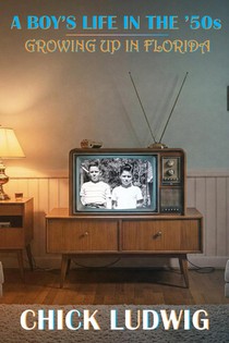 A Boy's Life in the '50s