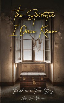 THE SPINSTER I ONCE KNEW