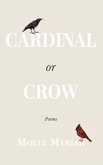 Cardinal or Crow