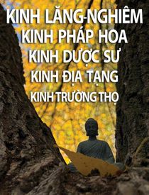 Kinh L¿ng-Nghiêm, Kinh Pháp Hoa, Kinh D¿¿c S¿, Kinh ¿¿a T¿ng, Kinh Tr¿¿ng Th¿