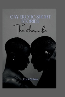 Gay erotic short stories: The other wife