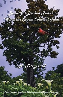 Beautiful Broken Pieces