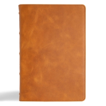 Holy Bible