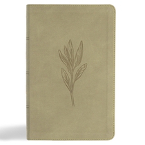 KJV Single-Column Personal Size Bible, Sage Suedesoft Leathertouch