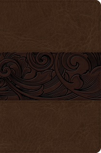 KJV Study Bible, Personal Size Edition, Mahogany Leathertouch