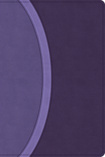 CSB Rainbow Study Bible, Purple Leathertouch (Limited Edition)