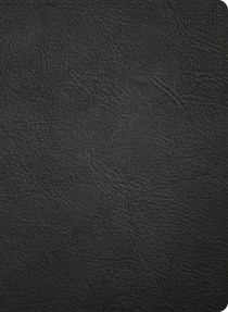 NASB Study Bible, Black Genuine Leather, Indexed
