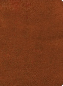 NASB Study Bible, Burnt Sienna Leathertouch