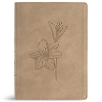 CSB Verse-By-Verse Reference Bible, Digital Study Edition, Earth Suedesoft Leathertouch