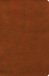 NASB Verse-By-Verse Reference Bible, Burnt Sienna Leathertouch