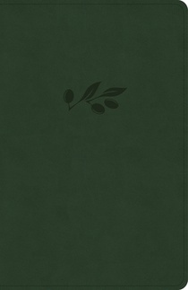 NASB Verse-By-Verse Reference Bible, Olive Leathertouch