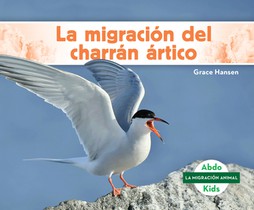 La Migración del Charrán Ártico (Arctic Tern Migration)