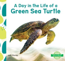 Day in the Life of a Green Sea Turtle