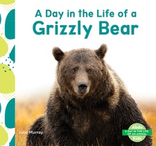 Day in the Life of a Grizzly Bear