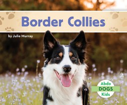 Border Collies