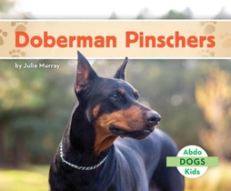 Doberman Pinschers