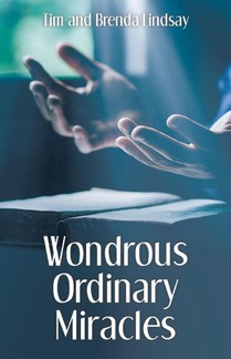 Wondrous Ordinary Miracles