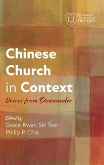 Chinese Church in Context