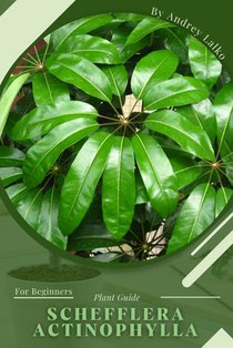 Schefflera actinophylla: Plant Guide